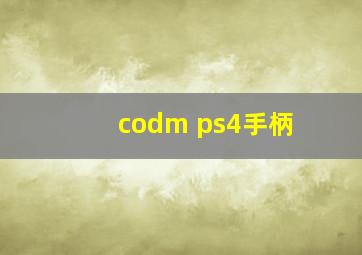 codm ps4手柄